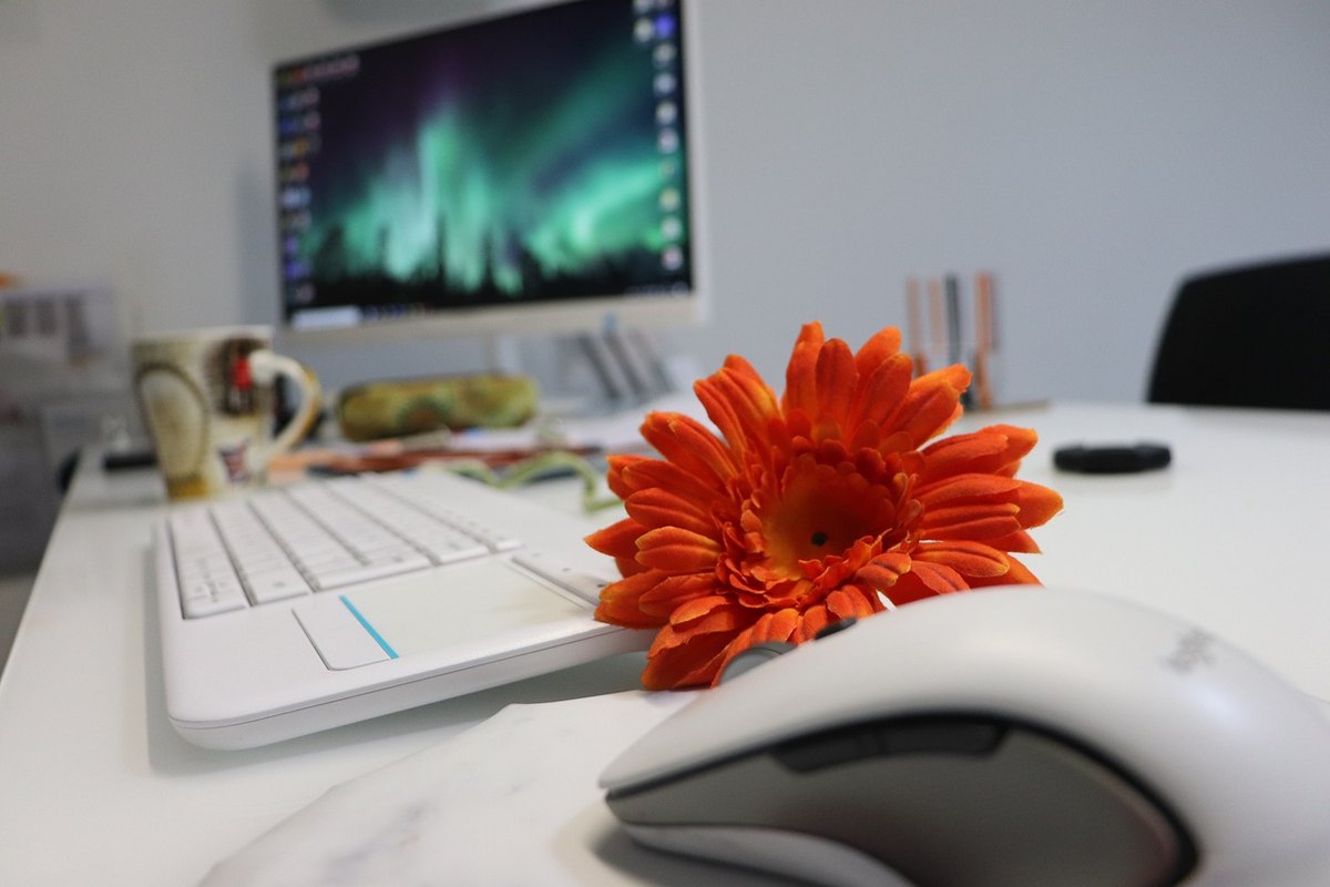 Aménager un bureau en télétravail : le guide complet pour un espace sain et productif
